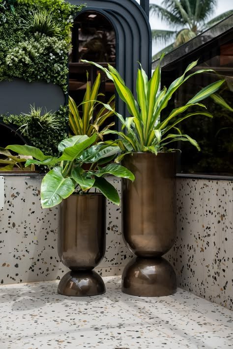 Stainless Steel Planters